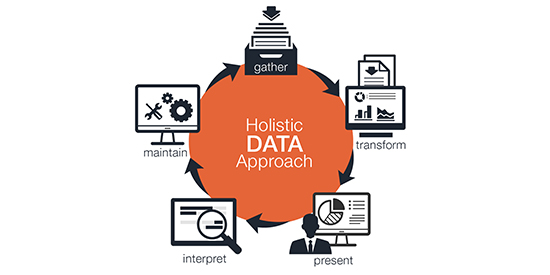 define holistic analysis