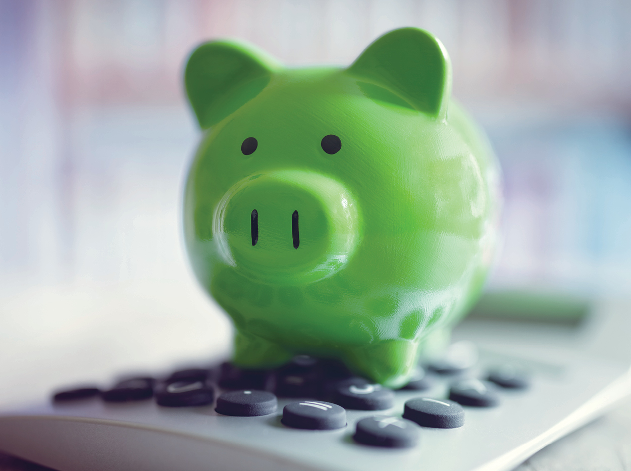 12 Savvy Ways to Spend Leftover Budget Excella