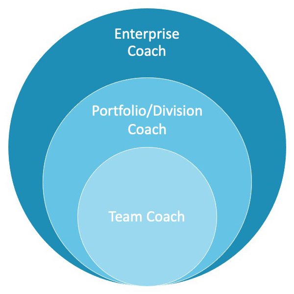 The tiers of agile coaches: Team Coach, Division Coach, and Enterprise Coach.